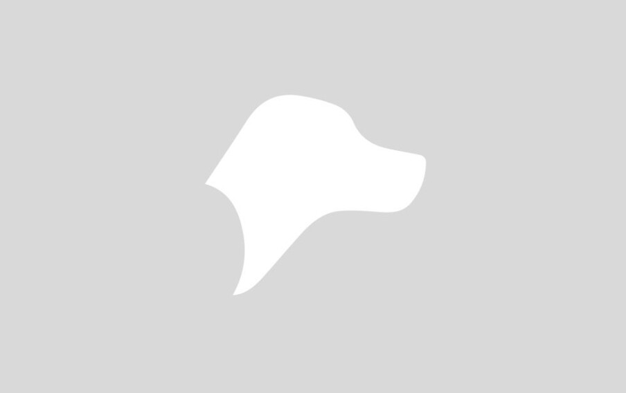 Automatic article from feed: Upcoming calendar events