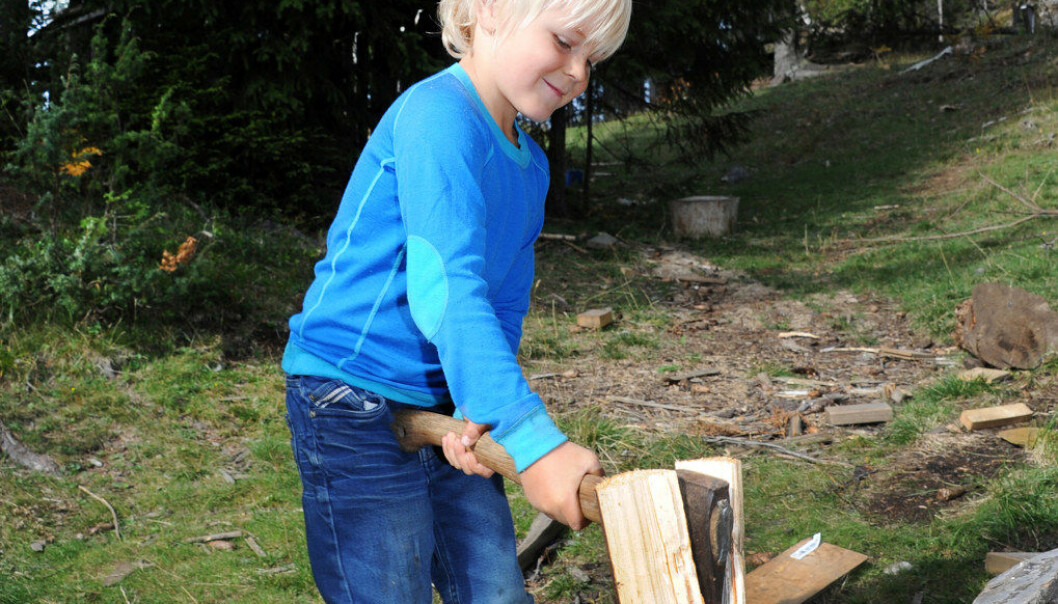Barna lærer tidlig å håndtere verktøy i Småtjern naturbarnehage på Hadeland. Adrian Engedahl Hansen hugger ved. Foto: Marianne Otterdahl- Jensen