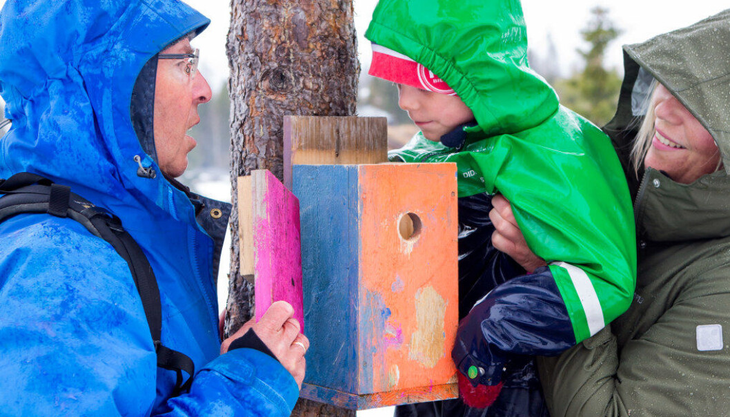 Den pensjonerte naturfaglæreren Karl August Haslestad stortrives på tur sammen med barnehagebarna og daglig leder Line Elisabeth Dalseng i Birkebeineren friluftsbarnehage på Lillehammer. Henrik David Stange (5) er spent på om noen har flyttet inn i fuglekassa. Foto: Charlotte Wiig Den pensjonerte naturfaglæreren Karl August Haslestad stortrives på tur sammen med barnehagebarna og daglig leder Line Elisabeth Dalseng i Birkebeineren friluftsbarnehage på Lillehammer. Henrik David Stange (5) er spent på om noen har flyttet inn i fuglekassa. Foto: Charlotte Wiig
