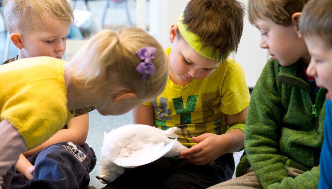 For barna i Ekrehagen friluftsbarnehage er det helt naturlig å studere og kjenne på den døde rypa: Marthe S. Mathisen (f.v.), Emil André Lian, Håvard Hald, Felix Pecher-Dzur og Erik Stabell. Foto:Ingun Mæhlum For barna i Ekrehagen friluftsbarnehage er det helt naturlig å studere og kjenne på den døde rypa: Marthe S. Mathisen (f.v.), Emil André Lian, Håvard Hald, Felix Pecher-Dzur og Erik Stabell. Foto:Ingun Mæhlum