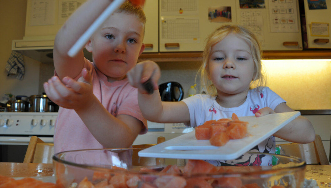 Ask K. Brochmann (t.v) og Veronica Klara R. Navelsaker forbereder laksen på en tur i gryta, før den skal mette hele barnehagen deres.  Foto: Gyri Aure