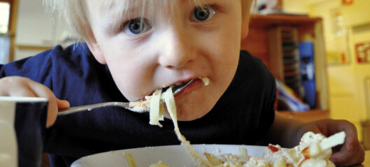 – Barnehagebarn trenger ikke gourmetmat