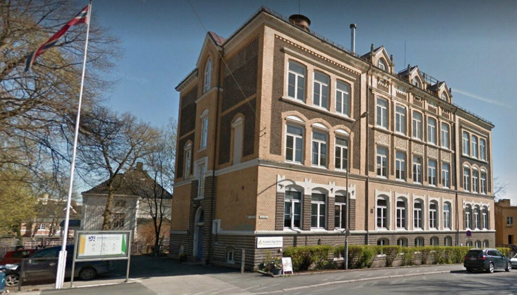 – Vi utdanner nå altfor få lærere med tanke på behovet ute i steinerskolene, sier rektor ved Steinerhøyskolen, Dagny Ringheim. Hun håper den nye lærerutdanningen vil øke rekrutteringen. Foto: Google. – Vi utdanner nå altfor få lærere med tanke på behovet ute i steinerskolene, sier rektor ved Steinerhøyskolen, Dagny Ringheim. Hun håper den nye lærerutdanningen vil øke rekrutteringen. Foto: Google.