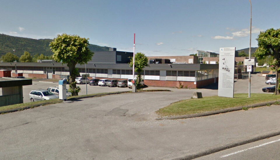 Det var ikke tilstrekkelig grunn for politiets narkotikaaksjon på Åssiden videregående skole i Drammen tidligere denne måneden, mener Elevorganisasjonen. Foto Google Maps