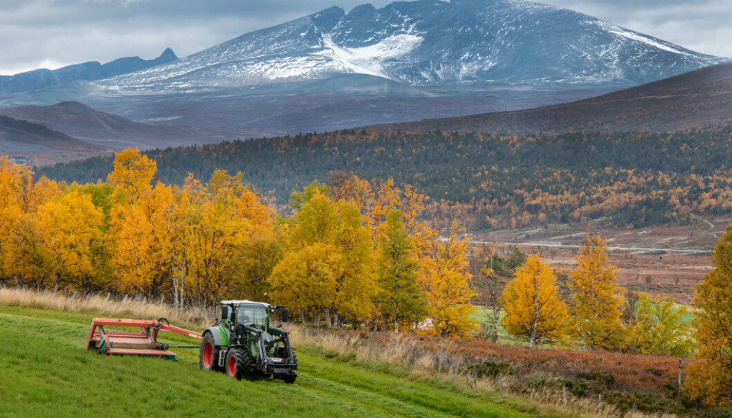 Flere elever får lærekontrakter og den største veksten er innen naturbruk og bygg- og anleggsteknikk. Foto: © Steinar Myhr / NN / Samfoto Flere elever får lærekontrakter og den største veksten er innen naturbruk og bygg- og anleggsteknikk. Foto: © Steinar Myhr / NN / Samfoto