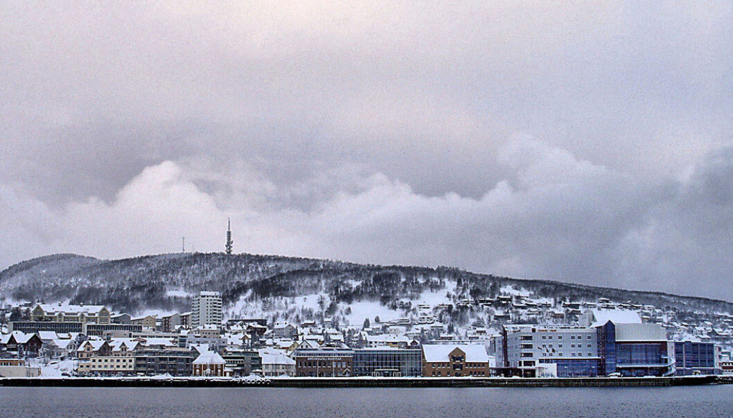 Heggen og Stangnes videregående skoler i Harstad skal slås sammen til én skole i et nytt bygg. Nå pågår striden om hvor den skal ligge. Ill.foto: Wikimedia Commons Heggen og Stangnes videregående skoler i Harstad skal slås sammen til én skole i et nytt bygg. Nå pågår striden om hvor den skal ligge. Ill.foto: Wikimedia Commons