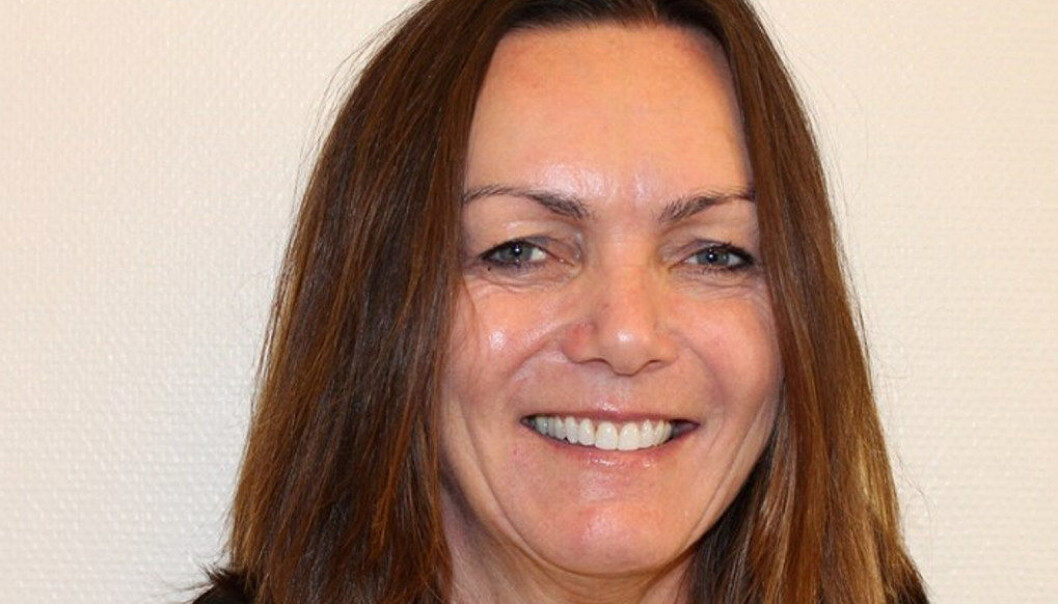 Kari Andreassen er ansatt som midlertidig direktør i Utdanningsetaten etter Astrid Søgnen. Foto: Oslo kommune Kari Andreassen er ansatt som midlertidig direktør i Utdanningsetaten etter Astrid Søgnen. Foto: Oslo kommune