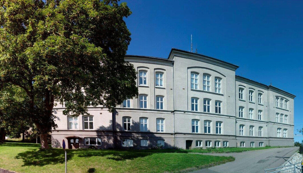 Med de nye læreplanene, Fagfornyelsen, kan norsk skole stake ut kursen for bærekraftig utdanning, skriver Marianne Store, lektor ved Slottsfjellet videregående skole i Tønsberg. Foto: Slottsfjell videregående steinerskole Med de nye læreplanene, Fagfornyelsen, kan norsk skole stake ut kursen for bærekraftig utdanning, skriver Marianne Store, lektor ved Slottsfjellet videregående skole i Tønsberg. Foto: Slottsfjell videregående steinerskole