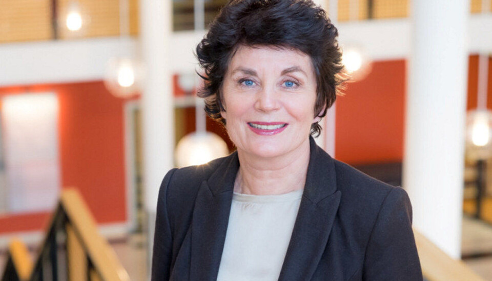 – Det Sjøberg hadde planer om å forelese om, går ikke under tematikken fagfornyelsen i skolen. Slik svarer instituttleder ved Institutt for lærerutdanning og skoleforskning (ILS) på Universitetet i Oslo, Rita Hvistendahl, på kritikk fra PISA-kritiker, professor Svein Sjøberg. Foto: S. R. Nielsen, ILS