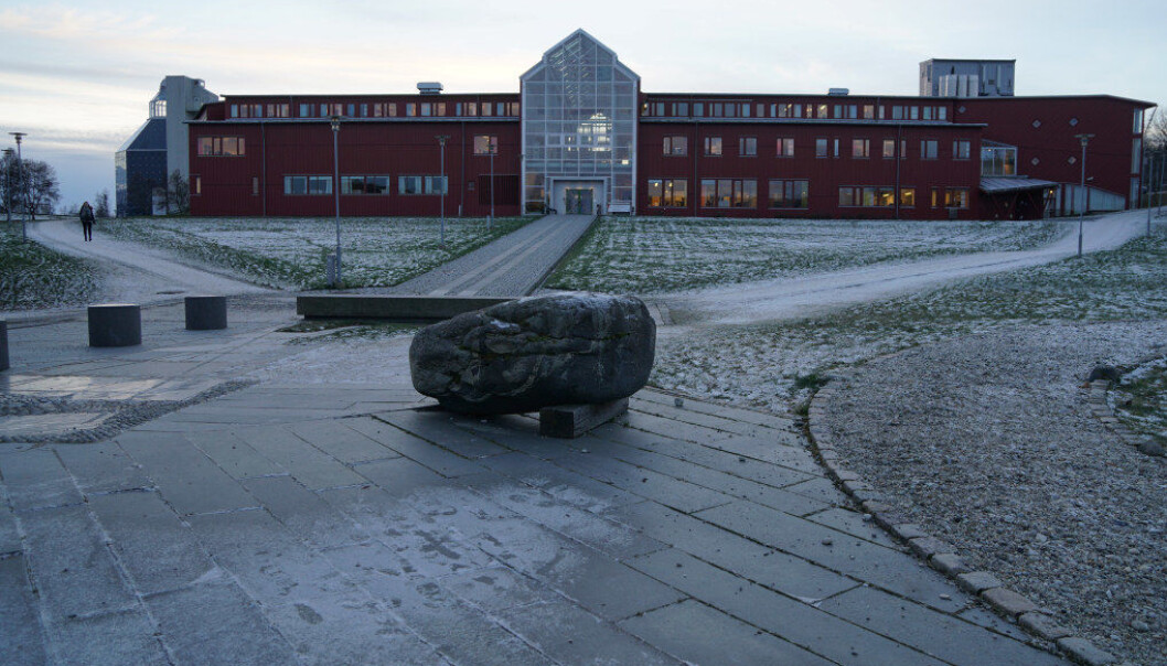 Universitetet i Tromsø Norges arktiske universitet har mest ubrukte penger fra de statlige overføringene, ifølge Kunnskapsdepartementet. Arkivfoto: Marianne Ruud Universitetet i Tromsø Norges arktiske universitet har mest ubrukte penger fra de statlige overføringene, ifølge Kunnskapsdepartementet. Arkivfoto: Marianne Ruud