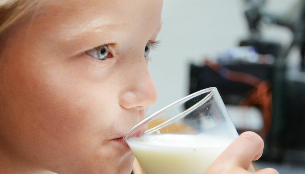 Vanlig melk er på vikende front, mens melk med smak vinner frem. Ill.foto: Kari Oliv Vedvik