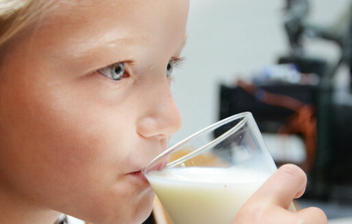 Flere skolebarn velger bort vanlig melk - de vil ha melk med smak