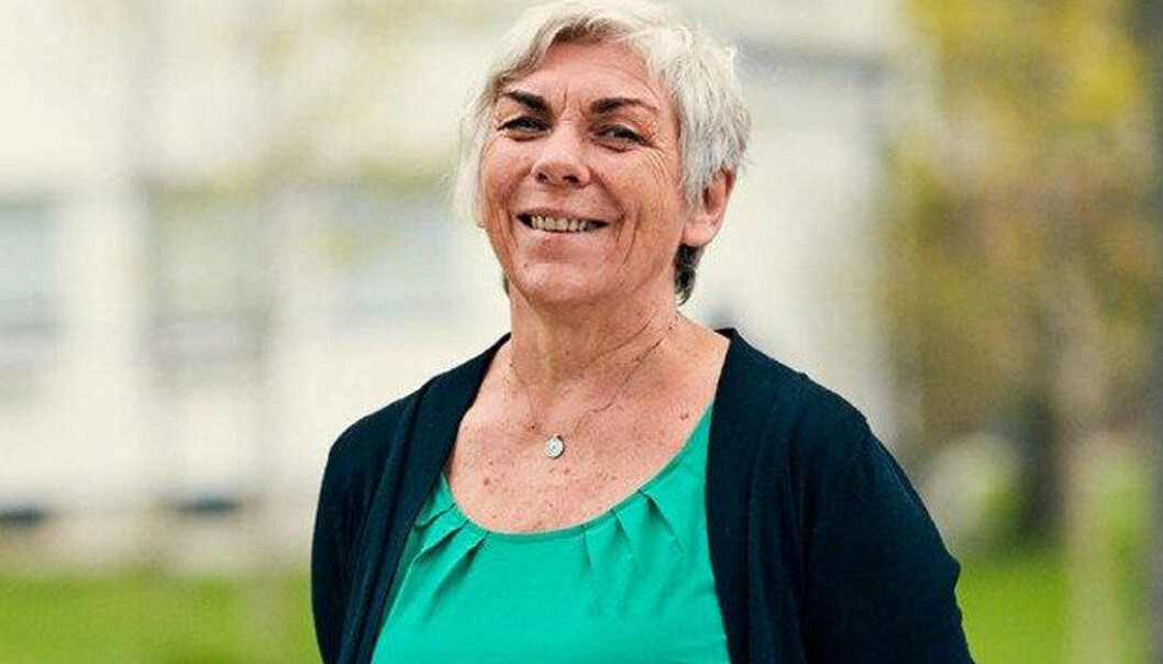 Lærerprofesjonens etiske råd mener ytringsfriheten til lærerne er truet. Birte Simonsen er leder for rådet. Lærerprofesjonens etiske råd mener ytringsfriheten til lærerne er truet. Birte Simonsen er leder for rådet.