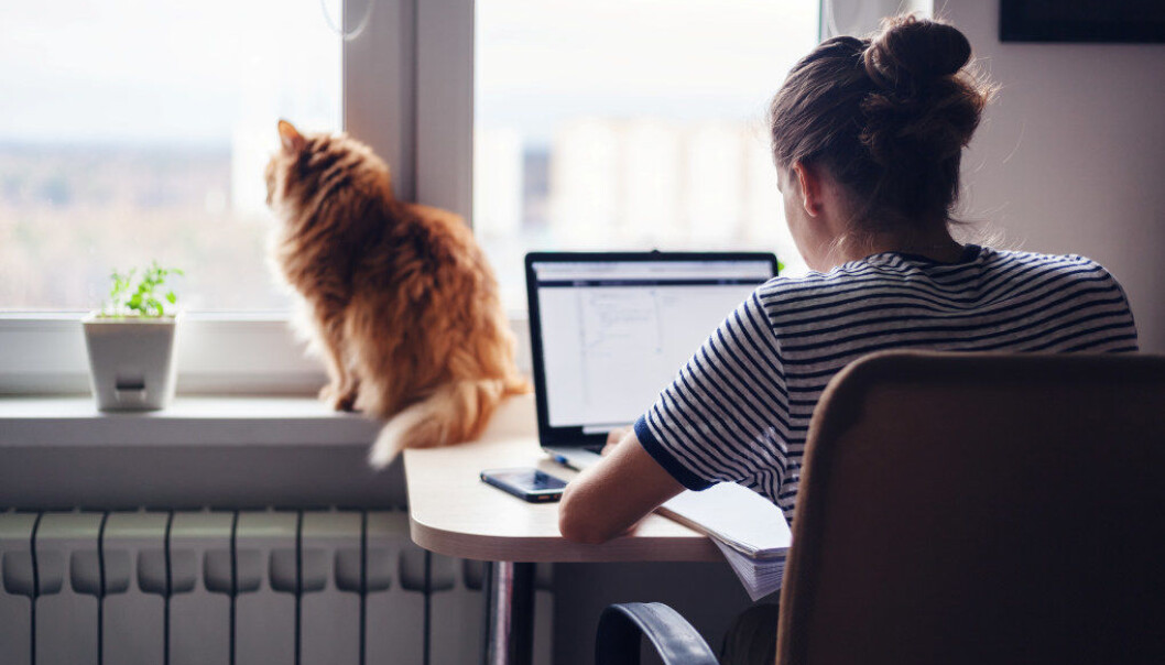 Her er fem tips deg som velger å studere hjemme via internett. Foto: AdobeStock Her er fem tips deg som velger å studere hjemme via internett. Foto: AdobeStock