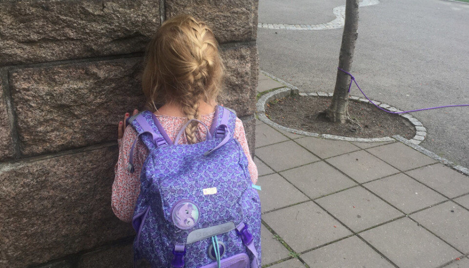 Utdanningsdirektoratet gir millionstøtte til program de ikke har tro på