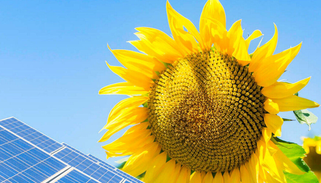 Illustrasjonsfoto: © Franco Nadalin/Fotolia.com Illustrasjonsfoto: © Franco Nadalin/Fotolia.com