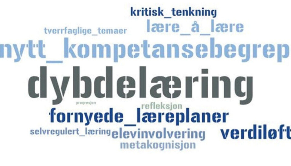 Utdanningsdirektoratet har fått mange tusen innspill til de nye læreplanene. Aller flest til fagene matematikk, norsk og engelsk. Foto: Skjermdump