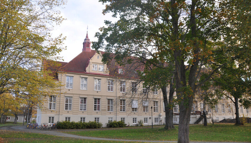 Dronning Mauds Minne Høgskole i Trondheim har hatt bra økning de siste årene i antall personer som søker om studieplass. Foto: Paal Svendsen Dronning Mauds Minne Høgskole i Trondheim har hatt bra økning de siste årene i antall personer som søker om studieplass. Foto: Paal Svendsen