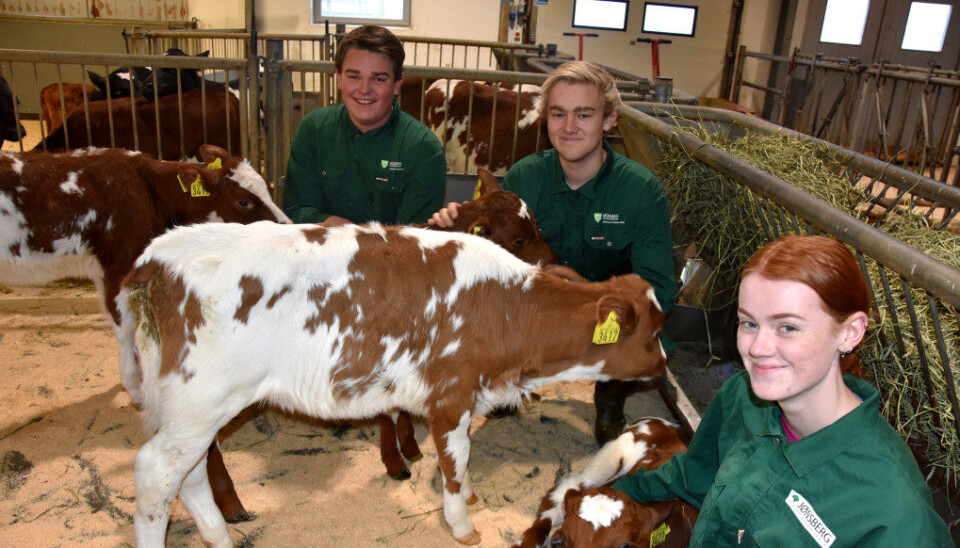 Framtidas agronomer fra Jønsberg, Ola Storsveen Storbek, Ole Bratberg Kylstad og Aina Helseth Nordby. Foto: Wenche Schjønberg