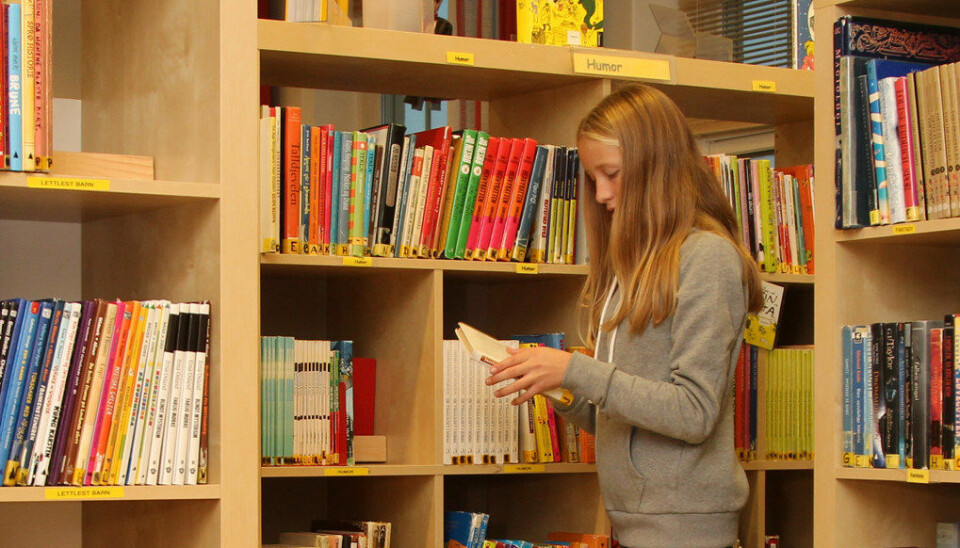 Bibliotekforeningen er en av ti organisasjoner som etterlyser et lovverk for skolebibliotekene.