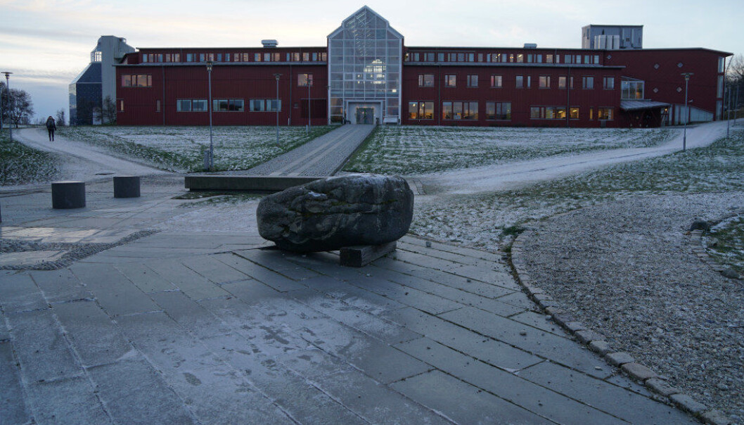 Universitetet i Tromsø Norges arktiske universitet har vært igjennom tre runder med fusjoner. Den siste skjedde i 2016 med Høgskolen i Narvik og Høgskolen i Harstad. Foto: Marianne Ruud Universitetet i Tromsø Norges arktiske universitet har vært igjennom tre runder med fusjoner. Den siste skjedde i 2016 med Høgskolen i Narvik og Høgskolen i Harstad. Foto: Marianne Ruud
