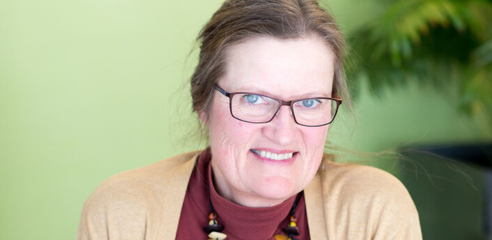– I lek er alt mulig, og det er ingen risiko for å gjøre feil, sier professor Anne Greve ved Oslo Met.
Foto: Charlotte E. Wiig – I lek er alt mulig, og det er ingen risiko for å gjøre feil, sier professor Anne Greve ved Oslo Met.
Foto: Charlotte E. Wiig