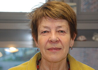 Gunn Engelsrud, professor ved Norges Idrettshøgskole. Foto: Arne Solli. Gunn Engelsrud, professor ved Norges Idrettshøgskole. Foto: Arne Solli.