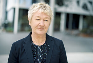 Hilde Elisabeth Johansen, fagsjef i Finans Norge. Foto: Finans Norge Hilde Elisabeth Johansen, fagsjef i Finans Norge. Foto: Finans Norge