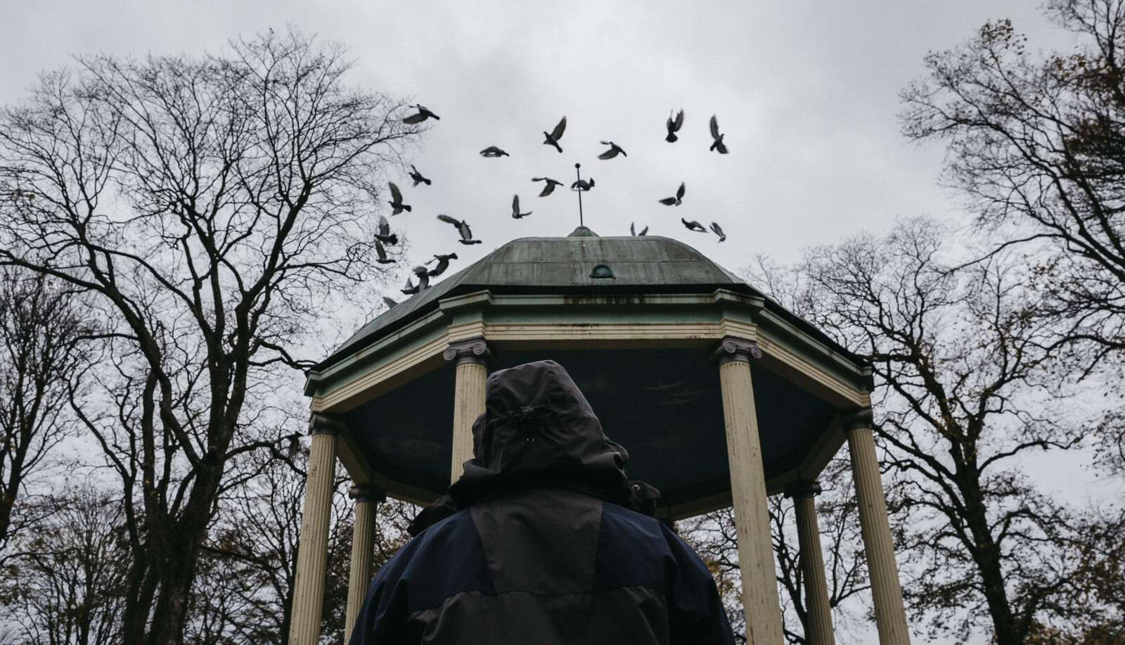 - Foreldrene mine syntes jo dette var stor stas, at jeg lille 13 åringen deres kunne få bli med en sånn ansett lærer og kulturpersonlighet på tur, forteller Fredrik. FOTO: Tommy Ellingsen - Foreldrene mine syntes jo dette var stor stas, at jeg lille 13 åringen deres kunne få bli med en sånn ansett lærer og kulturpersonlighet på tur, forteller Fredrik. FOTO: Tommy Ellingsen