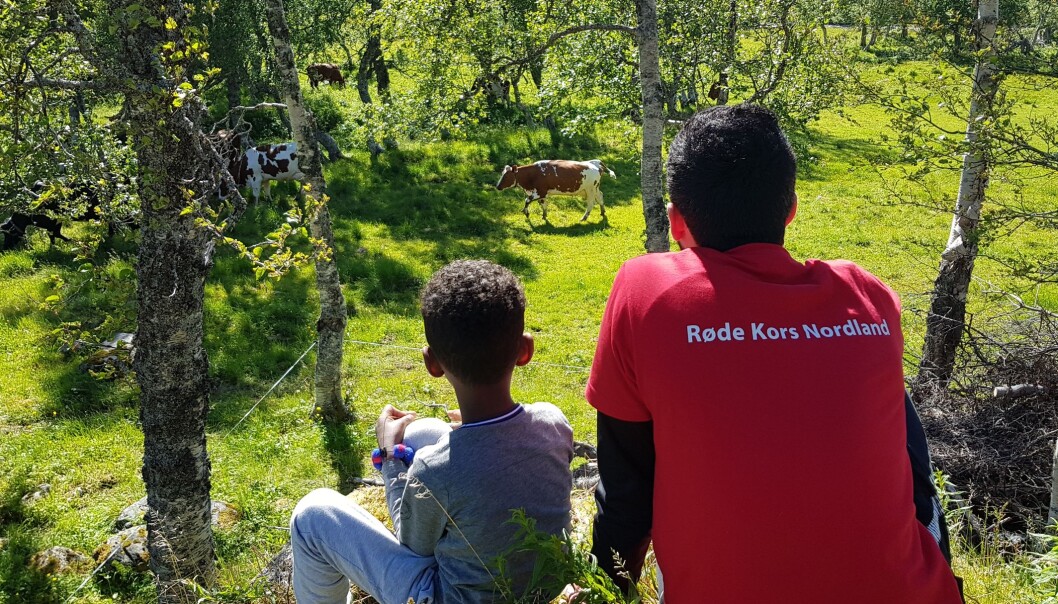 Mange foreldre kjenner på press om å dra bort på ferie. Stine Erikstad i Røde Kors sier lærere og foreldre kan fremheve overfor barna at ferie ikke trenger å betyr å reise avgårde. Her fra en av Røde Kors' ferietilbud «Ferie for alle». FOTO: Brønnøysund Røde Kors/Nordland Røde Kors Mange foreldre kjenner på press om å dra bort på ferie. Stine Erikstad i Røde Kors sier lærere og foreldre kan fremheve overfor barna at ferie ikke trenger å betyr å reise avgårde. Her fra en av Røde Kors' ferietilbud «Ferie for alle». FOTO: Brønnøysund Røde Kors/Nordland Røde Kors