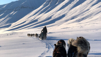 Svalbard byr på mye vakker natur. Foto: Privat Svalbard byr på mye vakker natur. Foto: Privat