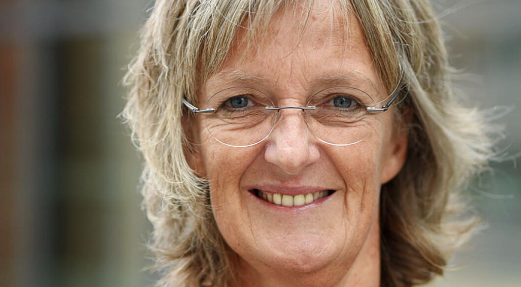 Professor i spesialpedagogikk, Ingrid Lund, mener nytt lovverk vil gjøre at en del barnehager må skjerpe seg. Foto: Universitetet i Agder. Professor i spesialpedagogikk, Ingrid Lund, mener nytt lovverk vil gjøre at en del barnehager må skjerpe seg. Foto: Universitetet i Agder.