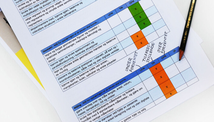 Det omdiskuterte evalueringsskjemaet. Det omdiskuterte evalueringsskjemaet.