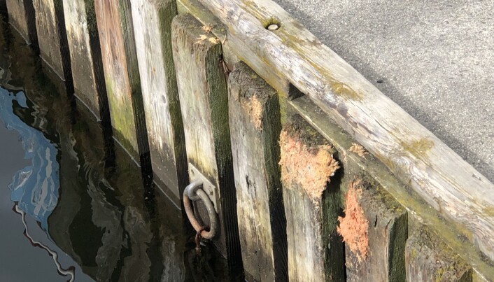 Seilbåten vår hadde tatt en god jafs av brygga. Foto: Kari Oliv Vedvik Seilbåten vår hadde tatt en god jafs av brygga. Foto: Kari Oliv Vedvik
