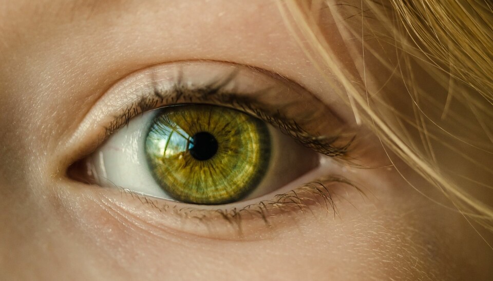Synsvansker forekommer oftere enn vi tror, og kan være årsaken til flere vansker, også andre typer vansker enn de vi vanligvis forbinder med synet, skriver artikkelforfatterne. Foto: Pixabay