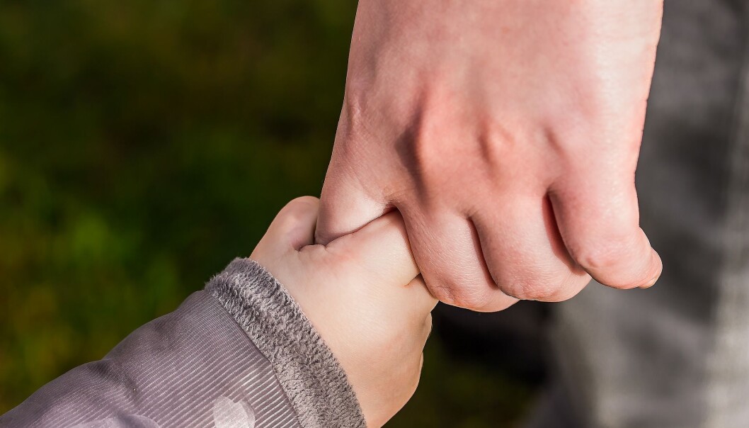 For å sikre god kvalitet i barnehagen trengs det ikke bare flere spesialpedagoger, men også barnehagelærere som har spisskompetanse på mangfold og inkludering, skriver Solveig Graue. Ill.foto: Pixabay For å sikre god kvalitet i barnehagen trengs det ikke bare flere spesialpedagoger, men også barnehagelærere som har spisskompetanse på mangfold og inkludering, skriver Solveig Graue. Ill.foto: Pixabay