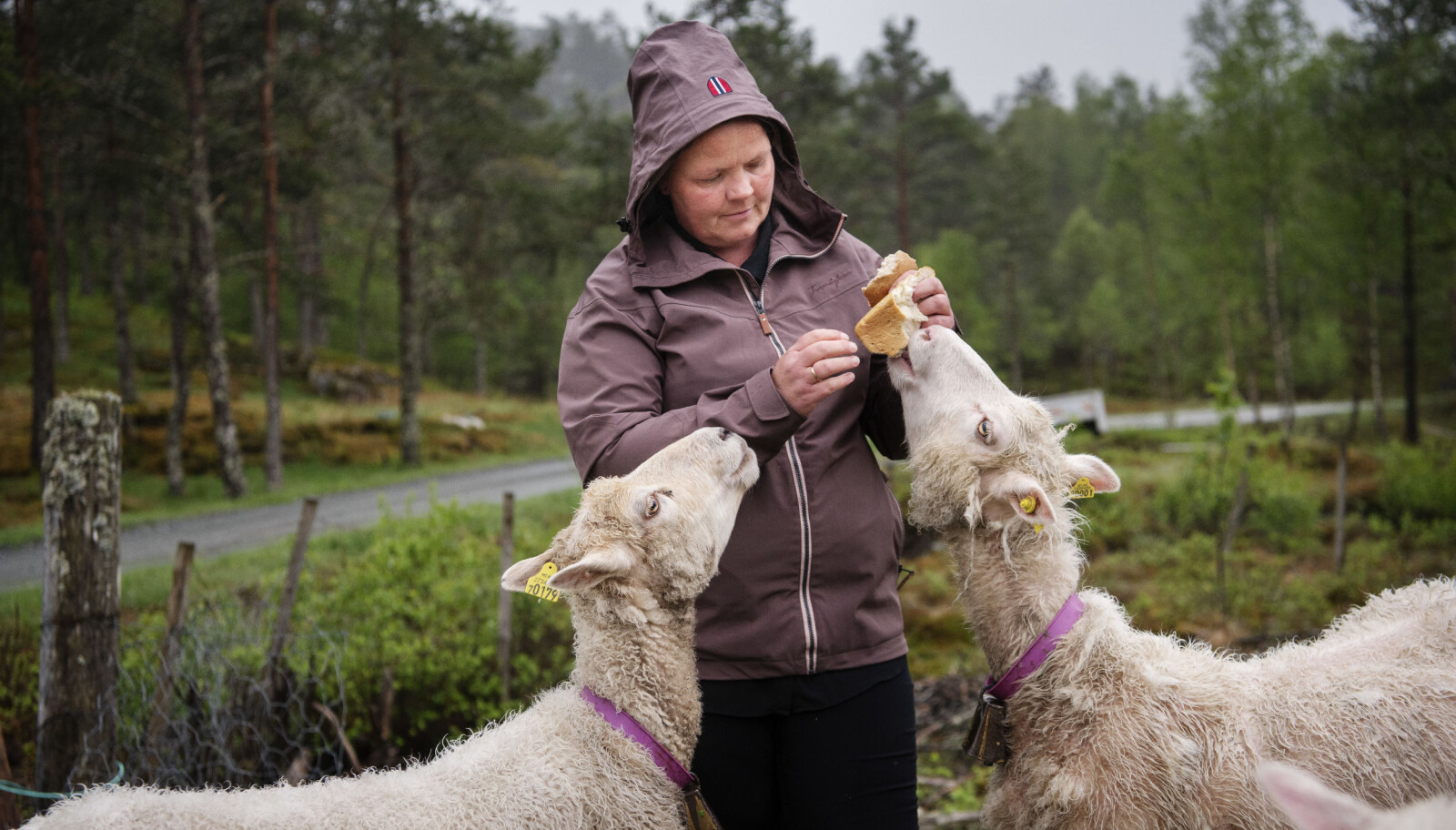 Heidi Hetland er ufør som følge av gisseldramaet i Hjelmeland barnehage for 20 år siden. Heidi Hetland er ufør som følge av gisseldramaet i Hjelmeland barnehage for 20 år siden.