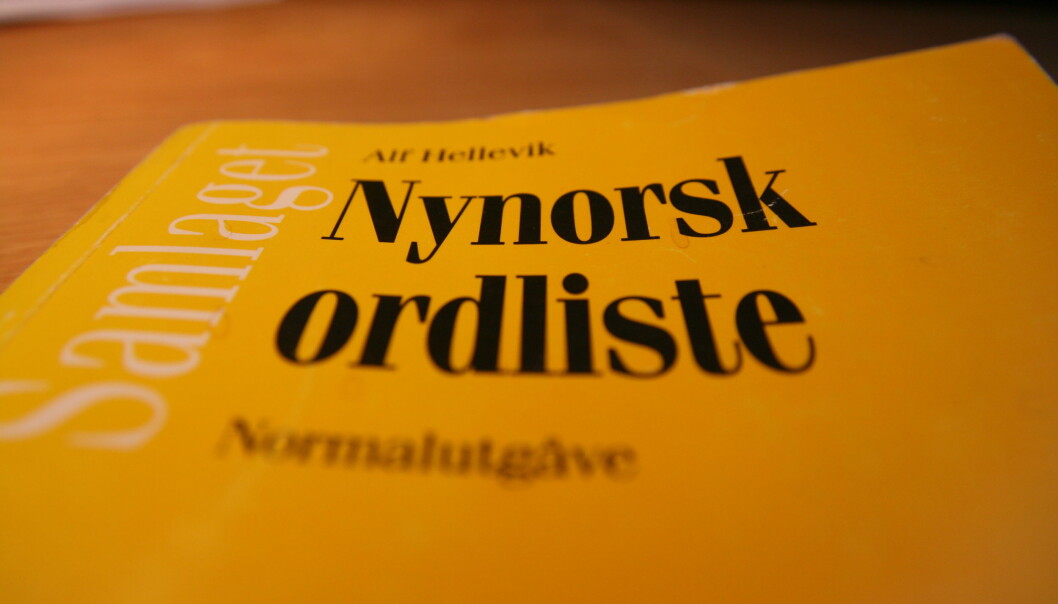 Den stadig aukande mobiliteten blant nordmenn er ein god grunn til å ha så mykje nynorsk i bagasjen som mogleg, skriv Magne Aasbrenn. Ill.foto: Harald F. Wollebæk Den stadig aukande mobiliteten blant nordmenn er ein god grunn til å ha så mykje nynorsk i bagasjen som mogleg, skriv Magne Aasbrenn. Ill.foto: Harald F. Wollebæk