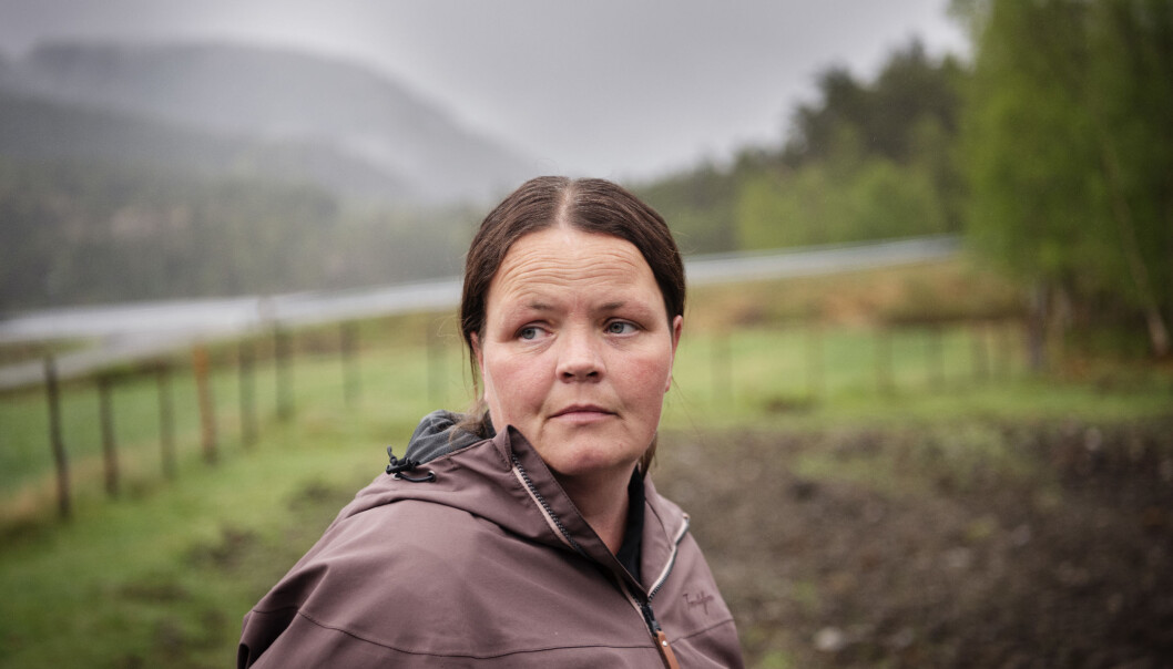 Heidi Hetland fikk posttraumatisk stresslidelse etter å ha vært gissel i Hjelmeland barnehage. – Det er fremdeles mye tabu rundt psykisk sykdom, og flere synes det er bra at jeg forteller om det, sier hun. Foto: Marie von Krogh Heidi Hetland fikk posttraumatisk stresslidelse etter å ha vært gissel i Hjelmeland barnehage. – Det er fremdeles mye tabu rundt psykisk sykdom, og flere synes det er bra at jeg forteller om det, sier hun. Foto: Marie von Krogh