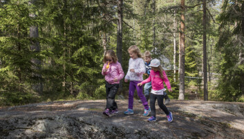 Barna i Hebekkskogen barnehage har skogen som lekeplass