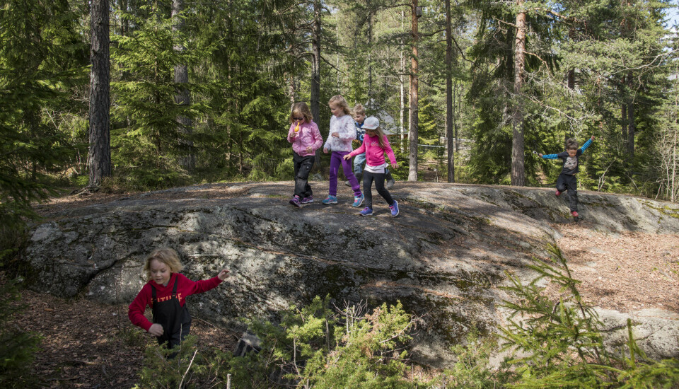 Barna i Hebekkskogen barnehage har naturen som en del av sine uteområder. Foto: Erik M. Sundt.