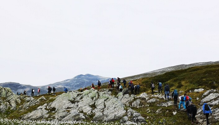 Jøldalshytta neste. Her har elevene tilbakelagt 15 km. Foto: Ingvild Onsøien Strøm Jøldalshytta neste. Her har elevene tilbakelagt 15 km. Foto: Ingvild Onsøien Strøm