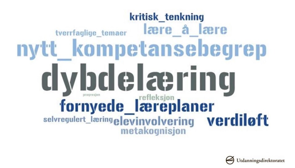 Fagfornyelsen – på ledernes skuldre