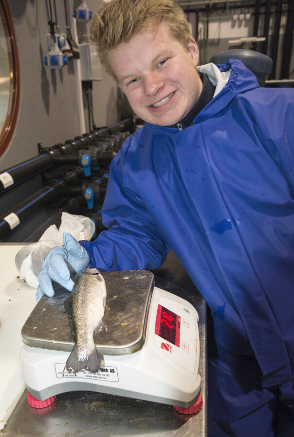 Fisken som skal veies, har fått en lett bedøvelse så den skal ligge rolig. Det er Lars Ulfsnes som gjør jobben.