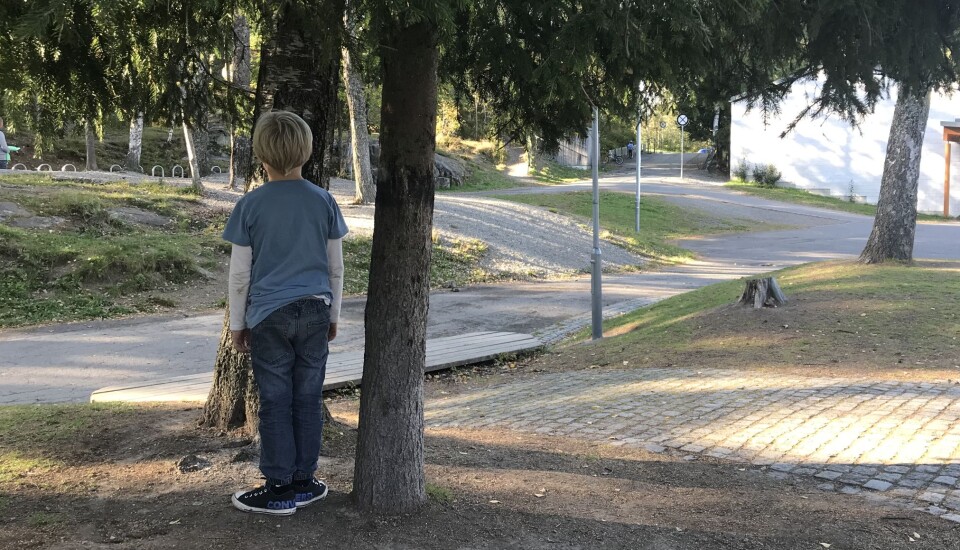 Nødrop fra en pedagogisk gråsone