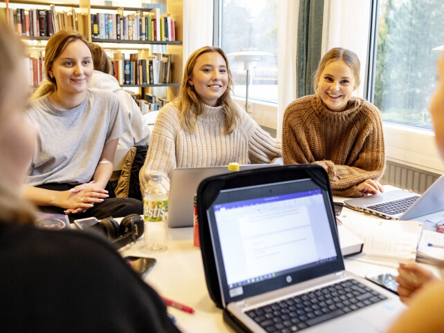 – Fritt skolevalg og økt segregering er definitivt et tema vi diskuterer, sier Lovisa Forsberg, Elvira Sjöberg og Mira Engstrøm.