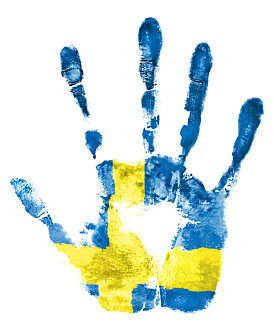 Svenske elever, lærere og forskere advarer: Fritt skolevalg har splittet den svenske skolen