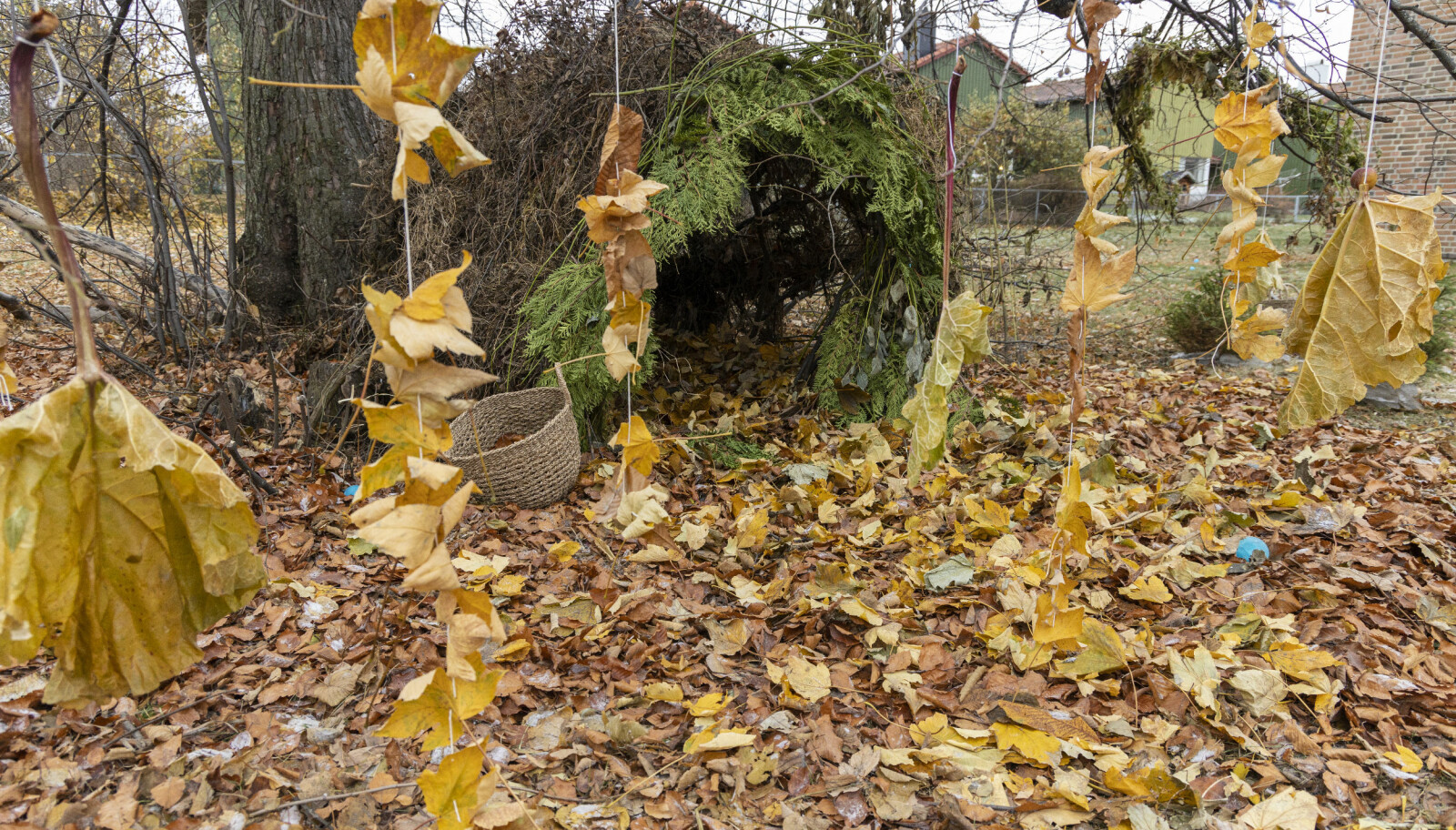 Studentene ønsket å ramme inn en lun hule med en vegg av blader foran.