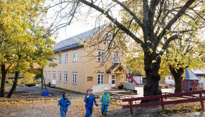 Sentrumsnære Sunnland barnehager i Trondheim har et relativt lite uteområde, og ingen stor skog å boltre seg i, men har laget en egen naturlekeplass der Even (5) (f.v.), Eilif (5), og Kasper (4) får hugge ved, sage og klatre i trærne. Sentrumsnære Sunnland barnehager i Trondheim har et relativt lite uteområde, og ingen stor skog å boltre seg i, men har laget en egen naturlekeplass der Even (5) (f.v.), Eilif (5), og Kasper (4) får hugge ved, sage og klatre i trærne.