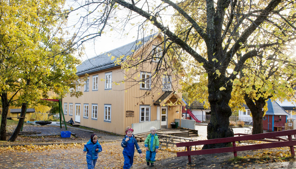 Sentrumsnære Sunnland barnehager i Trondheim har et relativt lite uteområde, og ingen stor skog å boltre seg i, men har laget en egen naturlekeplass der Even (5) (f.v.), Eilif (5), og Kasper (4) får hugge ved, sage og klatre i trærne.